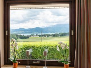Holiday Home Attersee near Hiking Trails, cleaning included - - 5