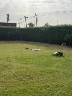 Panwar farms - Jāmb - 8