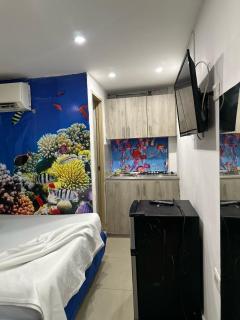 tocore suites beach - Gaira - 3