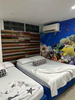 tocore suites beach - Gaira - 1