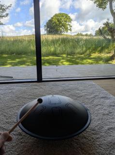Tiny House Overlooking Nature - Vordingborg - 5