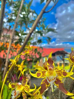 Inti Amanta Lodge - Sigchos - 5