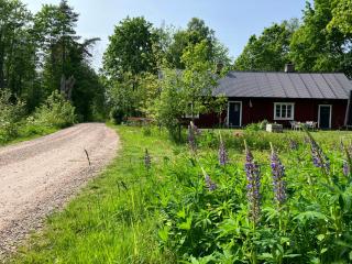 Traditional Swedish House In The Forest - Älmhult - 0