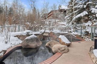 Terracehouse 81 - Snowmass Village - 5