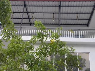 Kuvin Villa - Wadduwa - 0