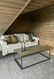 Large Familycabin In Fageråsen - Trysil - 4