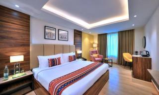 Hotel Sun Plaza By Unit Of IVY - Nuova Delhi - 1