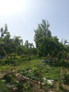 Ak Kuu Home - Kara-Talaa - 8