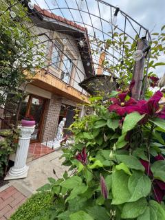 Casa Viselor de vară - 2 Mai - 0