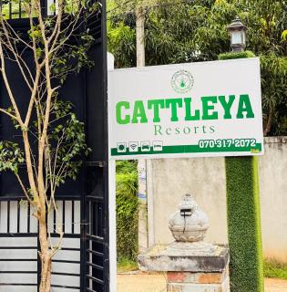 Cattleya Resorts Anuradhapura - Anuradhapura - 9