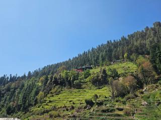Hotel Bettey's Heaven - - 4