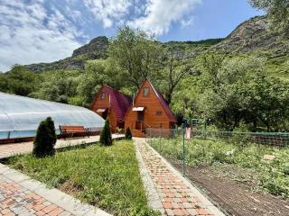 QarUp House - Dilidzjan - 9
