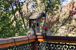 Romantic Retreat with Spa and Private Gardens - Mount Dandenong - 1