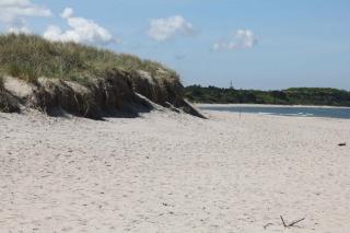 Cozy And Well-Appointed Summer House In Hornbæk - Hornbaek - 3