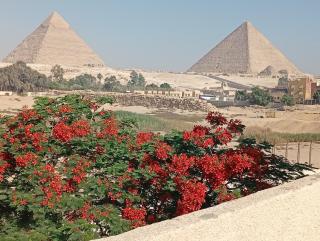 Sunset Oasis - Il Cairo - 0