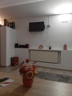 Apartament cu terasa la casa Valentin - 8