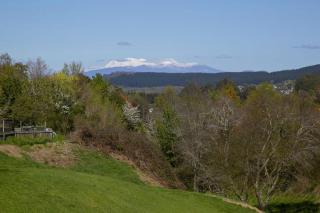 Lakewood Family Retreat-Spacious Cozy Relax - Taupo - 7