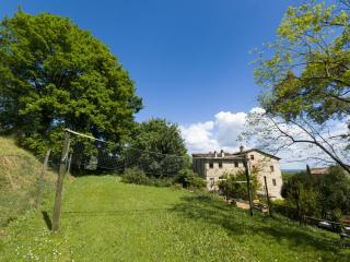 Country Tuscan home in Lucca - Lucca - 2