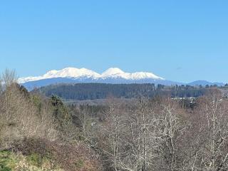 Lakewood Retreat-Spacious Private Quiet Cozy - Taupo - 3