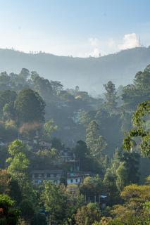 Lipton View Villa - Bandarawela - 1