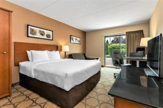 Comfort Inn - Brandon - 8