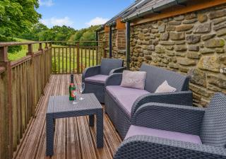 Coed Y Nant Barn - Cilybebyll - 7
