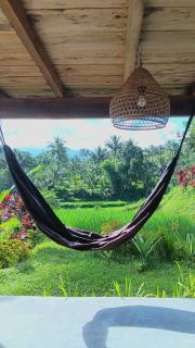 Dewi Rinjani Homestay - Tetebatu - 2