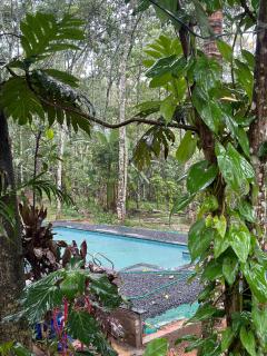 Hevea Gardens Homestay - - 2
