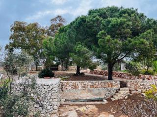 Villa degli Ulivi - Torre Vado - 7