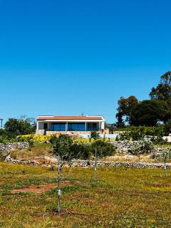 Villa degli Ulivi - Torre Vado - 4