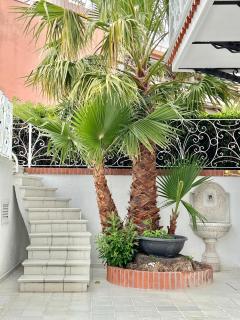 Villa Solaris - Sanremo - 4