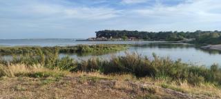 Franck's tiny house Les Viviers - 7