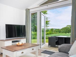 1 Horizon View - Liskeard - 8