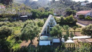 Olive Frame - Zakynthos - 9