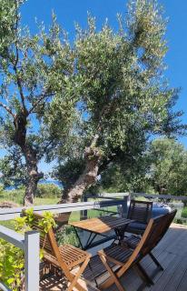 Olive Frame - Zakynthos - 8
