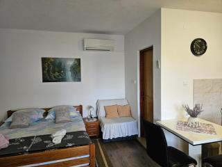 Studio Apartment in Nin with Terrace, Air Conditioning, Wi-Fi (3722-5) - Nin - 8