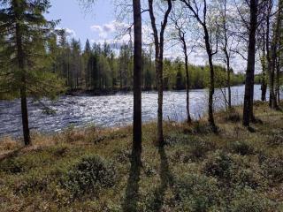 NarusKallela - Naruska - 6