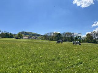 Weiherhof - - 2