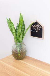 Belle Rose Place - Meadowridge - 2