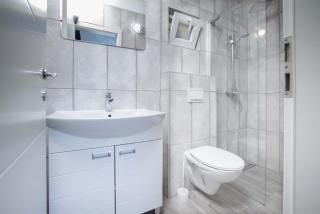 Villa Baras garden - house with pool - Mirce - 9