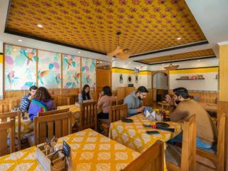 The Hosteller Manali, Old Manali - Manāli - 3