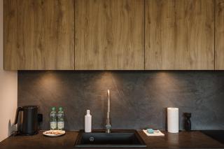 Park Wilsona Stylish Apartment by BookingHost - Poznań - 1