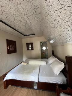NANGIN VILLA's & HOTEL - BUKIT LAWANG - Bukit Lawang - 5