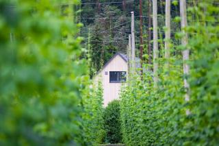 Hinterland&See - Tettnang - 5