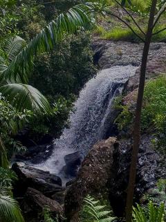 Waterfall Lodge - 8