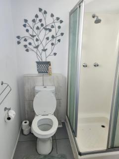 Forest house Knysna with solar and water backup - 1