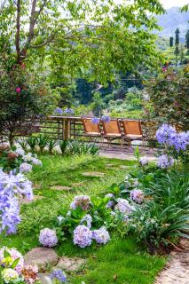 Sapa Village Retreat - Dine & Coffee - Sa Pa - 4