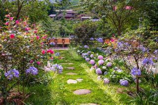Sapa Village Retreat - Dine & Coffee - Sa Pa - 9