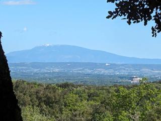 Camping a Grignan dans forêt privée vue Ventoux - Réauville - 0