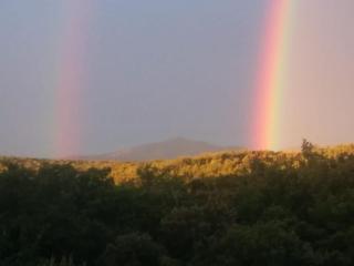 Camping a Grignan dans forêt privée vue Ventoux - Réauville - 9